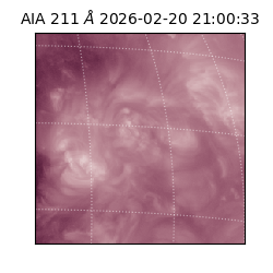 saia - 2026-02-20T21:00:33.630000