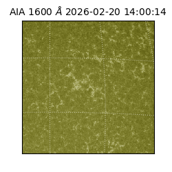 saia - 2026-02-20T14:00:14.129000