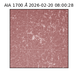 saia - 2026-02-20T08:00:28.720000