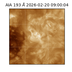 saia - 2026-02-20T09:00:04.844000