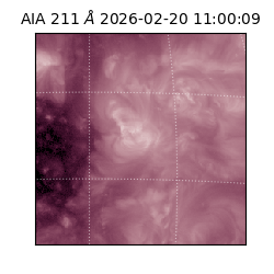 saia - 2026-02-20T11:00:09.631000