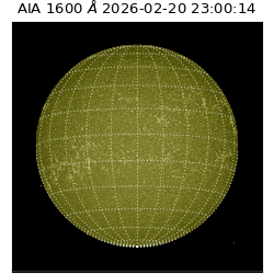 saia - 2026-02-20T23:00:14.117000