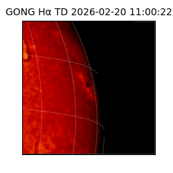 gong - 2026-02-20T11:00:22