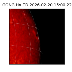 gong - 2026-02-20T15:00:22