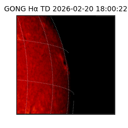 gong - 2026-02-20T18:00:22