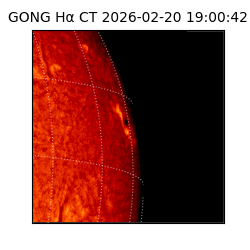 gong - 2026-02-20T19:00:42