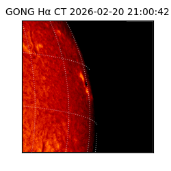 gong - 2026-02-20T21:00:42