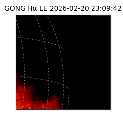 gong - 2026-02-20T23:09:42