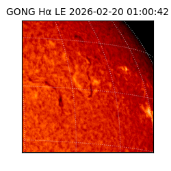 gong - 2026-02-20T01:00:42