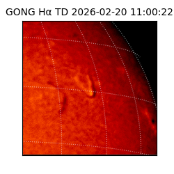 gong - 2026-02-20T11:00:22