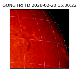 gong - 2026-02-20T15:00:22