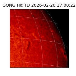 gong - 2026-02-20T17:00:22