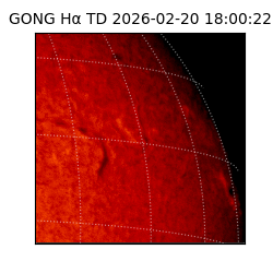 gong - 2026-02-20T18:00:22