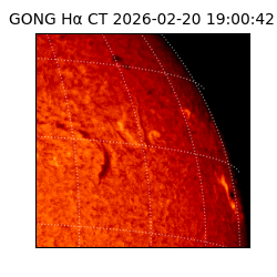 gong - 2026-02-20T19:00:42