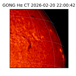 gong - 2026-02-20T22:00:42