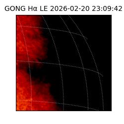 gong - 2026-02-20T23:09:42