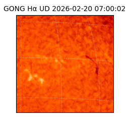 gong - 2026-02-20T07:00:02