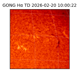 gong - 2026-02-20T10:00:22