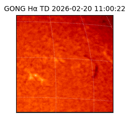 gong - 2026-02-20T11:00:22