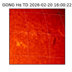 gong - 2026-02-20T16:00:22