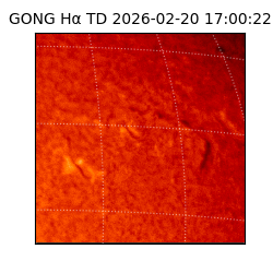 gong - 2026-02-20T17:00:22