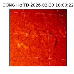 gong - 2026-02-20T18:00:22