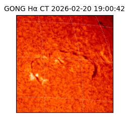 gong - 2026-02-20T19:00:42