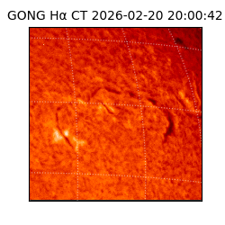 gong - 2026-02-20T20:00:42