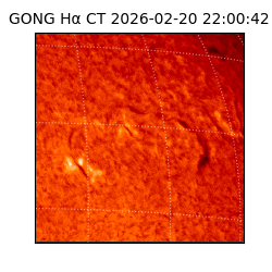 gong - 2026-02-20T22:00:42