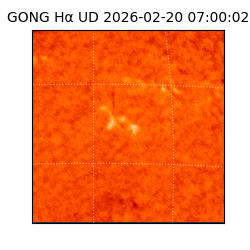 gong - 2026-02-20T07:00:02