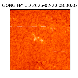 gong - 2026-02-20T08:00:02