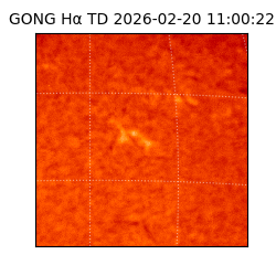 gong - 2026-02-20T11:00:22