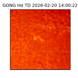 gong - 2026-02-20T14:00:22