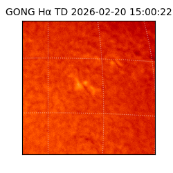 gong - 2026-02-20T15:00:22