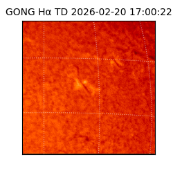 gong - 2026-02-20T17:00:22