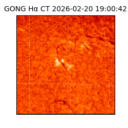 gong - 2026-02-20T19:00:42