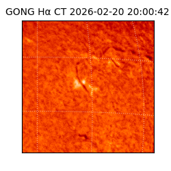 gong - 2026-02-20T20:00:42