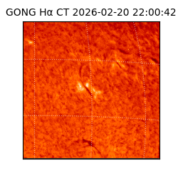 gong - 2026-02-20T22:00:42