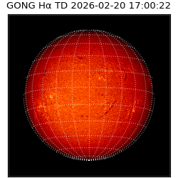 gong - 2026-02-20T17:00:22