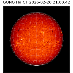 gong - 2026-02-20T21:00:42