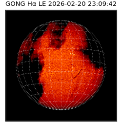 gong - 2026-02-20T23:09:42
