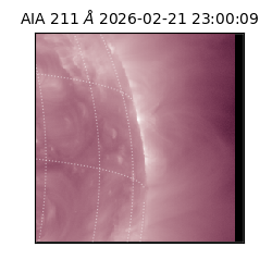 saia - 2026-02-21T23:00:09.632000