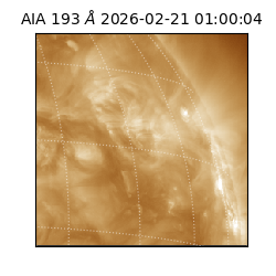 saia - 2026-02-21T01:00:04.843000