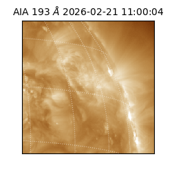 saia - 2026-02-21T11:00:04.843000