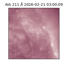 saia - 2026-02-21T03:00:09.640000