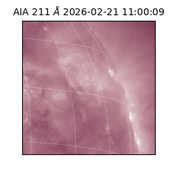 saia - 2026-02-21T11:00:09.633000