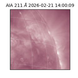 saia - 2026-02-21T14:00:09.626000