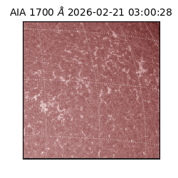 saia - 2026-02-21T03:00:28.729000