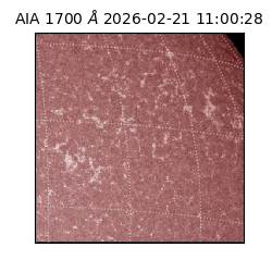 saia - 2026-02-21T11:00:28.717000