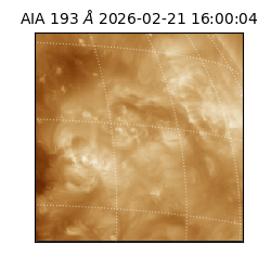 saia - 2026-02-21T16:00:04.842000